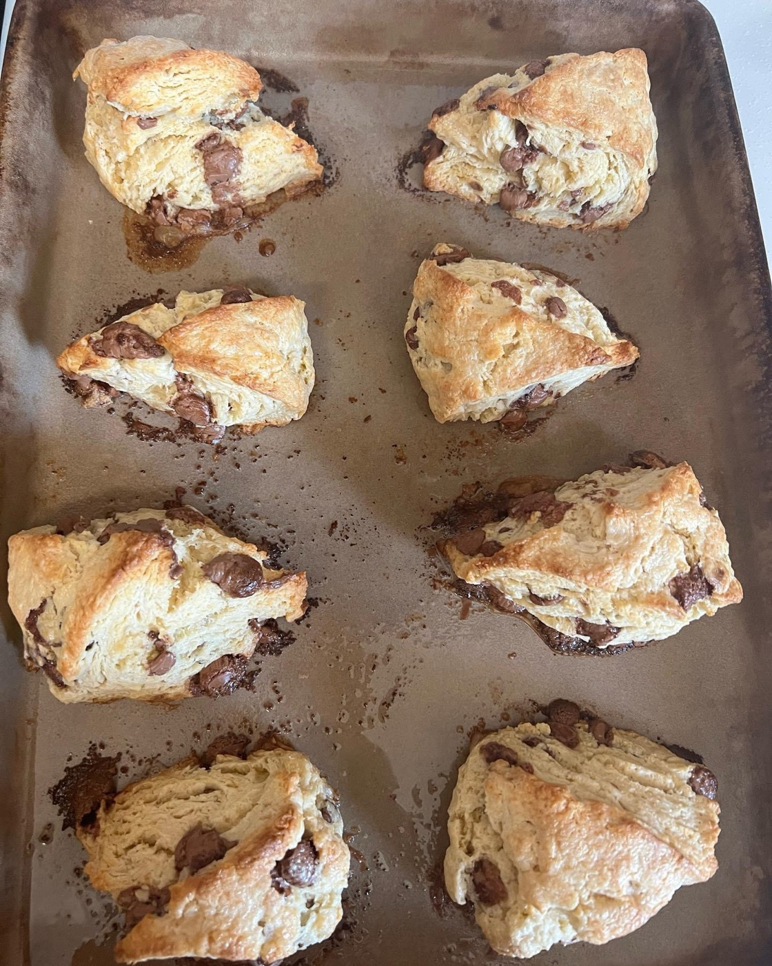 Sheet pan of chocolate chip scones baked golden at the edges